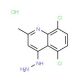 5,8-Dichloro-4-hydrazino-2-methylquinoline hydrochloride (CAS 1169969-58-7) - chemical structure image