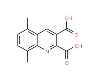 5,8-Dimethylquinoline-2,3-dicarboxylic acid (CAS 948293-98-9) - chemical structure image