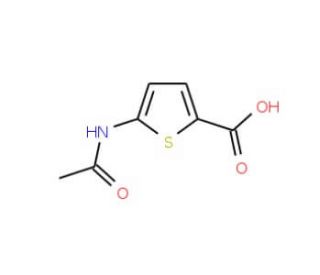 5-(acetylamino)thiophene-2-carboxylic acid (CAS 89499-46-7) - chemical structure image