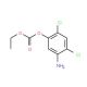 5-Amino-2,4-dichlorophenyl ethyl carbonate - chemical structure image