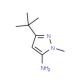 5-Amino-3-tert-butyl-1-methyl-1H-pyrazole (CAS 118430-73-2) - chemical structure image