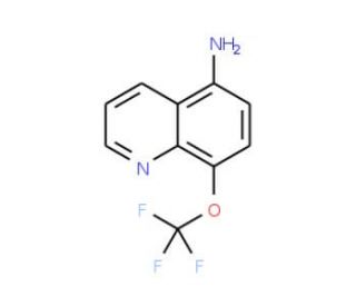 5-Amino-8-trifluoromethoxyquinoline (CAS 1072944-53-6) - chemical structure image