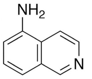 5-Aminoisoquinoline (CAS 1125-60-6) - chemical structure image