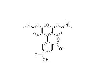 5-(and 6)-TAMRA (CAS 98181-63-6) - chemical structure image 