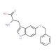 5-Benzyloxy-DL-tryptophan (CAS 6383-70-6) - chemical structure image