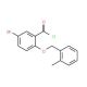 5-bromo-2-[(2-methylbenzyl)oxy]benzoyl chloride - chemical structure image
