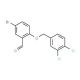5-Bromo-2-[(3,4-dichlorobenzyl)oxy]benzaldehyde - chemical structure image