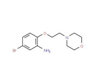 5-Bromo-2-[2-(4-morpholinyl)ethoxy]aniline - chemical structure image