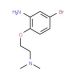 5-Bromo-2-[2-(dimethylamino)ethoxy]aniline - chemical structure image