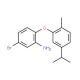 5-Bromo-2-(5-isopropyl-2-methylphenoxy)aniline - chemical structure image