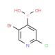 5-Bromo-2-chloropyridine-4-boronic acid (CAS 871329-63-4) - chemical structure image
