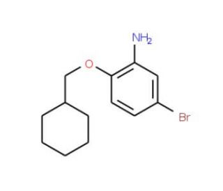 5-Bromo-2-(cyclohexylmethoxy)phenylamine - chemical structure image