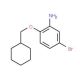 5-Bromo-2-(cyclohexylmethoxy)phenylamine - chemical structure image