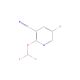 5-Bromo-2-(difluoromethoxy)pyridine-3-carbonitrile (CAS 1805580-90-8) - chemical structure image