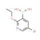 5-Bromo-2-ethoxypyridine-3-boronic acid (CAS 871332-98-8) - chemical structure image