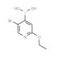 5-Bromo-2-ethoxypyridine-4-boronic acid (CAS 612845-46-2) - chemical structure image