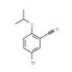 5-Bromo-2-isopropoxybenzonitrile (CAS 515832-52-7) - chemical structure image