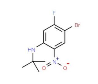5-Bromo-2-(t-butylamino)-4-fluoro-1-nitrobenzene (CAS 1150114-26-3) - chemical structure image