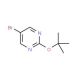 5-Bromo-2-tert-butoxypyrimidine (CAS 121487-13-6) - chemical structure image