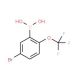 5-Bromo-2-trifluoromethoxyphenylboronic acid (CAS 1072951-56-4) - chemical structure image