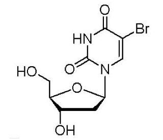 5-Bromo-2&prime;-deoxyuridine (CAS 59-14-3) - chemical structure image