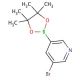 5-Bromo-3-pyridineboronic acid pinacol ester (CAS 452972-13-3) - chemical structure image