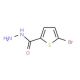 Structure moléculaire de 5-Bromo-thiophene-2-carboxylic acid hydrazide, Numéro CAS: 98027-27-1 5-Bromo-thiophene-2-carboxylic acid hydrazide (CAS 98027-27-1) - chemical structure image