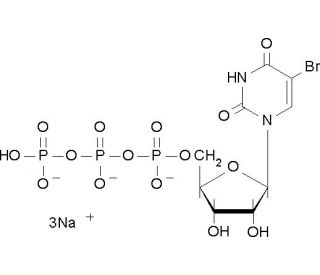 5-Bromouridine 5&prime;-triphosphate sodium salt (CAS 161848-60-8) - chemical structure image