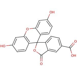 5-Carboxyfluorescein | CAS 76823-03-5 | SCBT - Santa Cruz