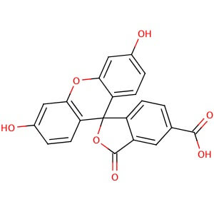 5-Carboxyfluorescein | CAS 76823-03-5 | SCBT - Santa Cruz