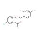 5-chloro-2-[(2,4-dichlorobenzyl)oxy]benzoyl chloride - chemical structure image