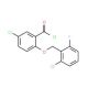 5-chloro-2-[(2-chloro-6-fluorobenzyl)oxy]benzoyl chloride - chemical structure image