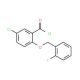 5-chloro-2-[(2-fluorobenzyl)oxy]benzoyl chloride - chemical structure image