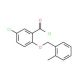 5-chloro-2-[(2-methylbenzyl)oxy]benzoyl chloride - chemical structure image
