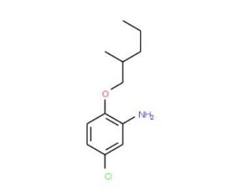 5-Chloro-2-[(2-methylpentyl)oxy]aniline - chemical structure image