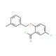 5-chloro-2-[(3-methylbenzyl)oxy]benzoyl chloride - chemical structure image