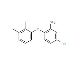 5-Chloro-2-(2,3-dimethylphenoxy)aniline - chemical structure image