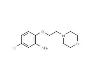 5-Chloro-2-[2-(4-morpholinyl)ethoxy]phenylamine - chemical structure image
