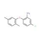 5-Chloro-2-(2,5-dimethylphenoxy)aniline - chemical structure image
