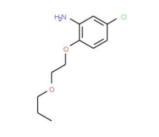5-Chloro-2-(2-propoxyethoxy)aniline - chemical structure image
