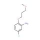 5-Chloro-2-(3-methoxypropoxy)phenylamine - chemical structure image