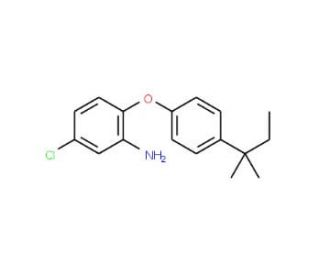 5-Chloro-2-[4-(tert-pentyl)phenoxy]aniline - chemical structure image