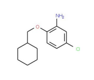 5-Chloro-2-(cyclohexylmethoxy)aniline - chemical structure image