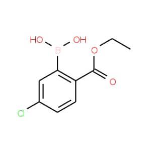 5-Chloro-2-(ethoxycarbonyl)phenylboronic acid | CAS 871329-55-4 | SCBT ...