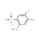 5-Chloro-2-methoxy-4-methylbenzenesulfonyl chloride (CAS 889939-48-4) - chemical structure image