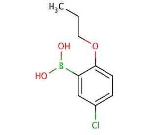 5-Chloro-2-propoxyphenylboronic acid (CAS 849062-29-9) - chemical structure image