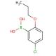 5-Chloro-2-propoxyphenylboronic acid (CAS 849062-29-9) - chemical structure image