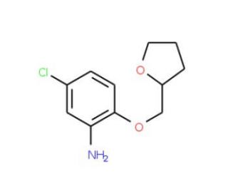 5-Chloro-2-(tetrahydro-2-furanylmethoxy)aniline - chemical structure image
