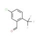 5-Chloro-2-(trifluoromethyl)benzaldehyde (CAS 90381-07-0) - chemical structure image