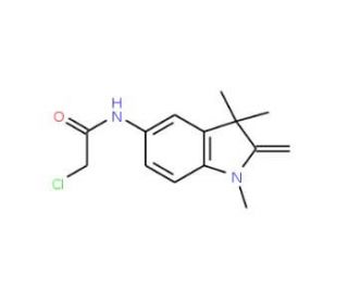 5-Chloroacetamido-2-methylene-1,3,3-trimethylindoline - chemical structure image